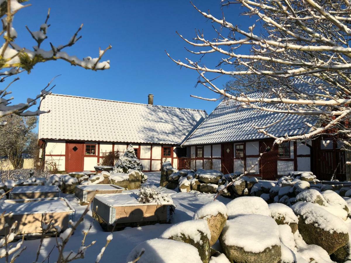 Kattalaengan Villa Brösarp Екстериор снимка